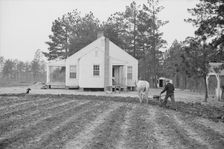 Briar Patch Project, Resettlement homestead near Eatonton, Georgia, 1936. Creator: Walker Evans