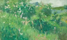 Briar-Rose Bushes Flowering on the Isle of Tjörn. Creator: Karl Nordström