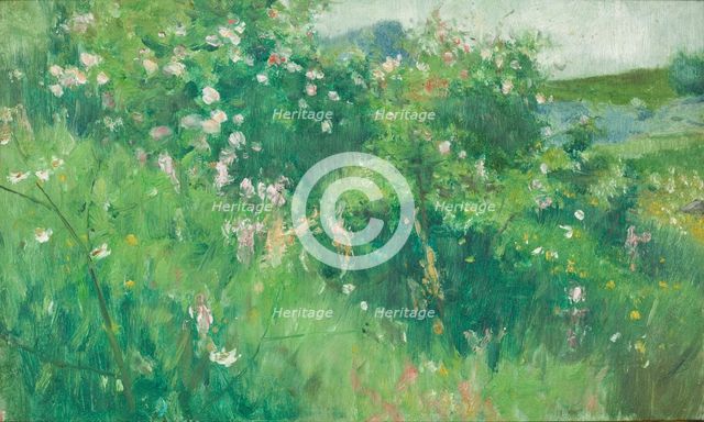 Briar-Rose Bushes Flowering on the Isle of Tjörn. Creator: Karl Nordström.