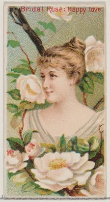 Bridal Rose: Happy Love, from the series Floral Beauties and Language of Flowers (N75) for..., 1892. Creator: Donaldson Brothers