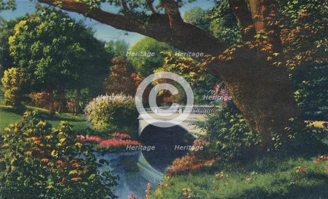 'Bridge No. 5, Cherokee Park', 1942. Artist: Caufield & Shook.