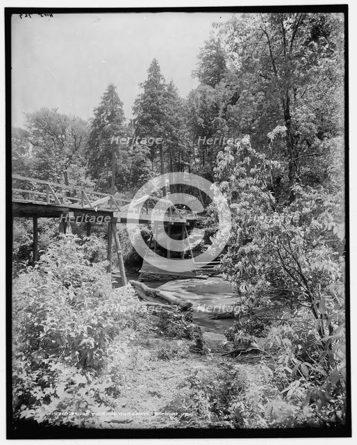 Bridge over the Whitewater, Sapphire, N.C., (1902?). Creator: William H. Jackson.