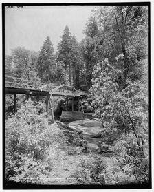 Bridge over the Whitewater, Sapphire, N.C., (1902?). Creator: William H. Jackson