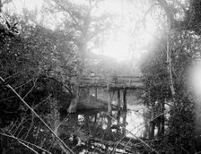 Bridge at Crucitas, between 1880 and 1897. Creator: William H. Jackson