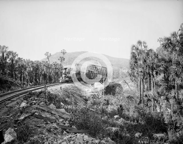 Bridge at Crucitas, between 1880 and 1897. Creator: William H. Jackson.
