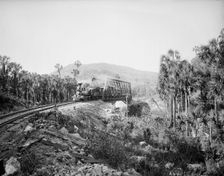 Bridge at Crucitas, between 1880 and 1897. Creator: William H. Jackson