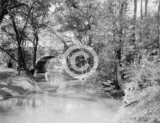 Bridge in Cherokee Park, Louisville, Ky., between 1900 and 1910. Creator: Unknown.