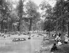 Bridge in the woods, Belle Isle [Park], Detroit, between 1900 and 1906. Creator: Lycurgus S. Glover