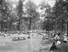 Bridge in the woods, Belle Isle [Park], Detroit, between 1900 and 1906. Creator: Lycurgus S. Glover
