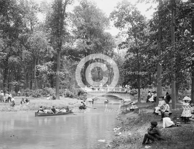 Bridge in the woods, Belle Isle [Park], Detroit, between 1900 and 1906. Creator: Lycurgus S. Glover.