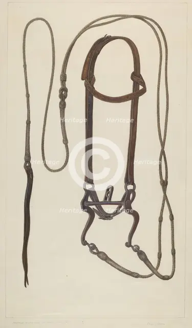 Bridle with Braided Rawhide Reins, c. 1937. Creator: Clyde L. Cheney.