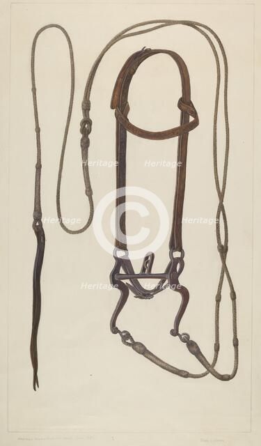 Bridle with Braided Rawhide Reins, c. 1937. Creator: Clyde L. Cheney.