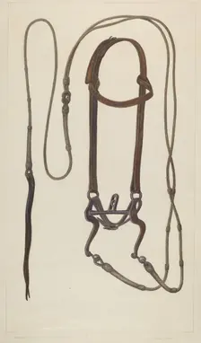 Bridle with Braided Rawhide Reins, c. 1937. Creator: Clyde L. Cheney