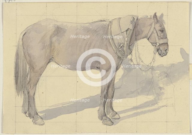 Bridled horse, c1830-1872. Creator: Jakob Becker.