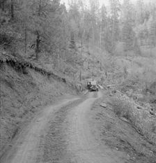 Bringing in load of logs late in the afternoon from the woods..., Gem County, Idaho, 1939. Creator: Dorothea Lange