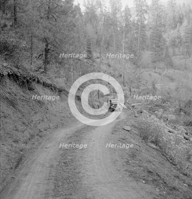 Bringing in load of logs late in the afternoon from the woods..., Gem County, Idaho, 1939. Creator: Dorothea Lange.