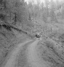 Bringing in load of logs late in the afternoon from the woods..., Gem County, Idaho, 1939. Creator: Dorothea Lange