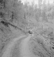 Bringing in load of logs late in the afternoon...Ola self-help co-op farm, Gem County, Idaho, 1939. Creator: Dorothea Lange