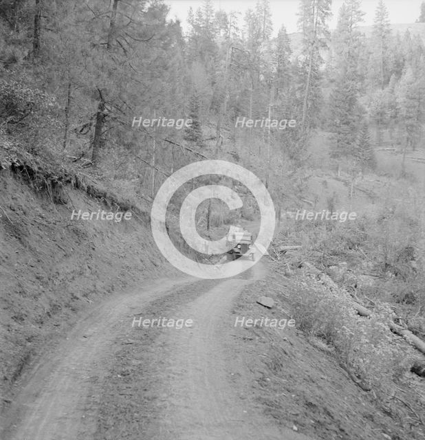 Bringing in load of logs late in the afternoon...Ola self-help co-op farm, Gem County, Idaho, 1939. Creator: Dorothea Lange.