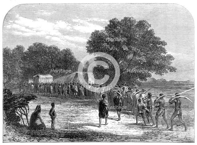 Bringing ivory to the waggons in South Africa, 1868. Creator: Unknown.