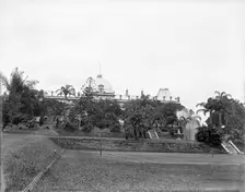Brisbane City Botanic Gardens, 1910. Creator: Robert Augustus Henry L'Estrange