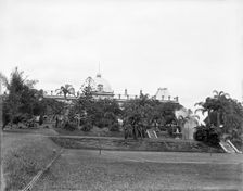Brisbane City Botanic Gardens, 1910. Creator: Robert Augustus Henry L'Estrange