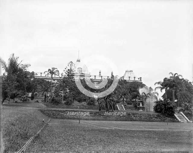 Brisbane City Botanic Gardens, 1910. Creator: Robert Augustus Henry L'Estrange.