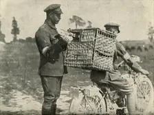 British Army Carrier Pigeons in France (1919). Creator: Unknown