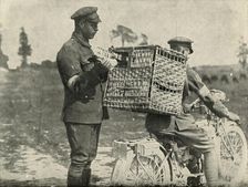 British Army Carrier Pigeons in France (1919). Creator: Unknown