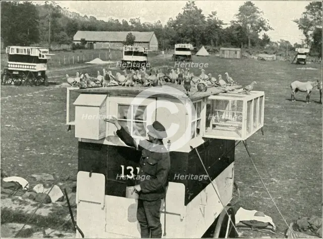 'British Army Carrier Pigeons in France: Horse-Drawn Lofts', (1919).  Creator: Unknown.