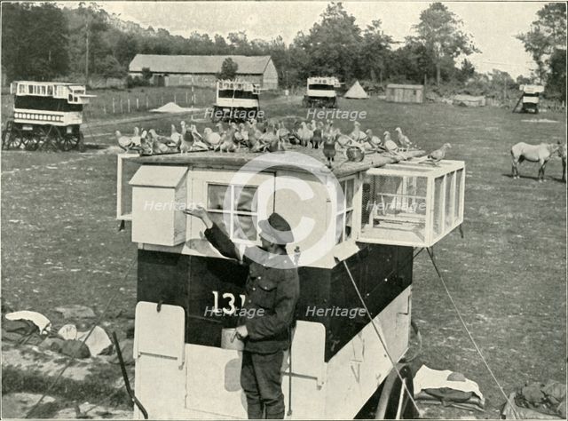 'British Army Carrier Pigeons in France: Horse-Drawn Lofts', (1919).  Creator: Unknown.
