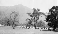 British army encampment, Kalsi, India, 1917