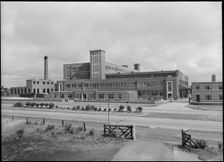 British Enka Limited, Ormskirk Road, Aintree, Aintree Village, Sefton, 1950-1959. Creator: Margaret F Harker