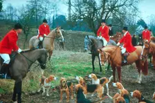 British hunting scene, c1955. Creator: Arthur Charles Kirby Ware