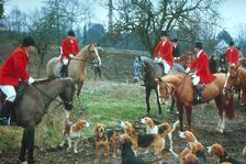 British hunting scene, c1955. Creator: Arthur Charles Kirby Ware