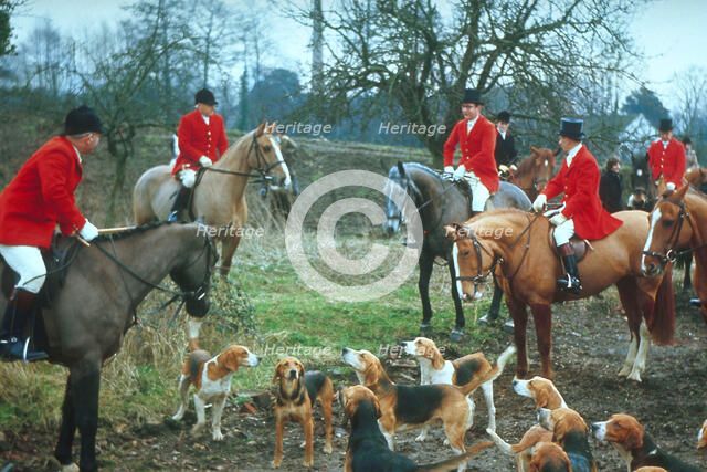 British hunting scene, c1955. Creator: Arthur Charles Kirby Ware.