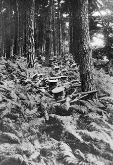 British infantry in a wood, First World War, 1914-1918, (c1920)