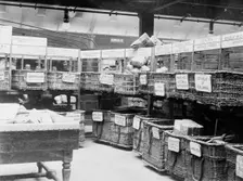 British Parcels Post-sorting parcels for foreign mail, between c1910 and c1915. Creator: Bain News Service