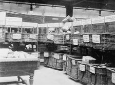 British Parcels Post-sorting parcels for foreign mail, between c1910 and c1915. Creator: Bain News Service