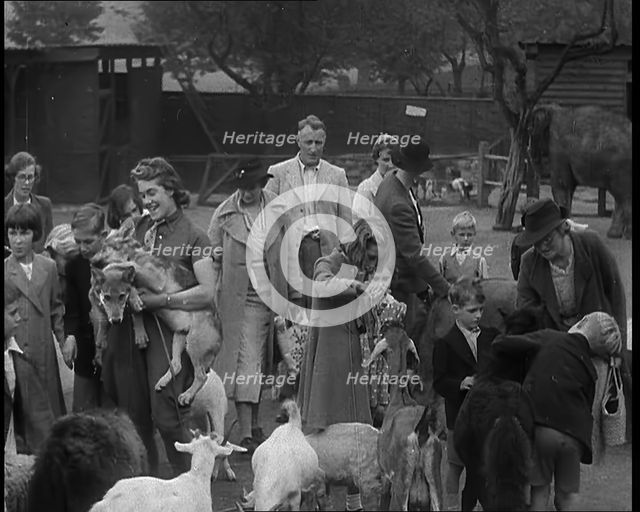 British People at the Zoo, 1940. Creator: British Pathe Ltd.