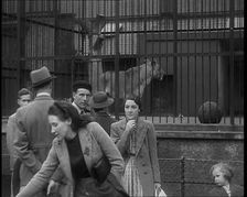 British People at the Zoo, 1940. Creator: British Pathe Ltd
