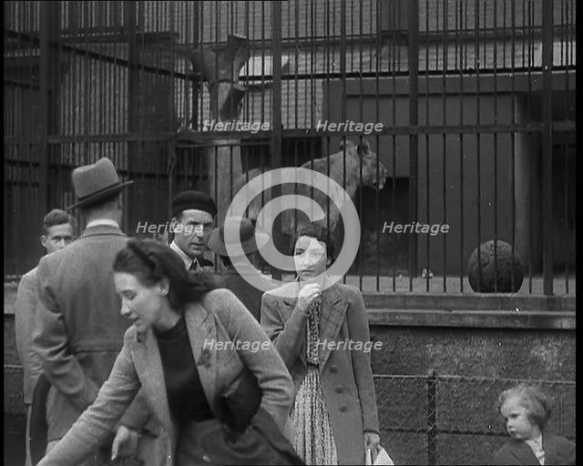 British People at the Zoo, 1940. Creator: British Pathe Ltd.