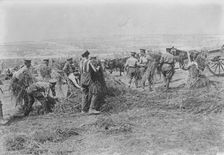 British soldiers feed horses, Apr 1917. Creator: Bain News Service