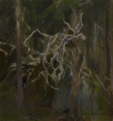 Broken Hollow Pine, 1905. Creator: Gabriel Engberg