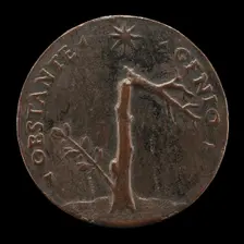 Broken Laurel Tree with Leafy Branch [reverse], probably 1532. Creator: Andrea Briosco