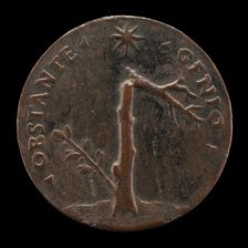 Broken Laurel Tree with Leafy Branch [reverse], probably 1532. Creator: Andrea Briosco