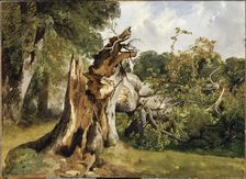Broken tree at near Meiringen (Bernese Oberland), Mid of the 19th cen.. Creator: Calame, Alexandre (1810-1864)