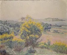 Broom, Le Brusq, 1925. Artist: Lucien Pissarro