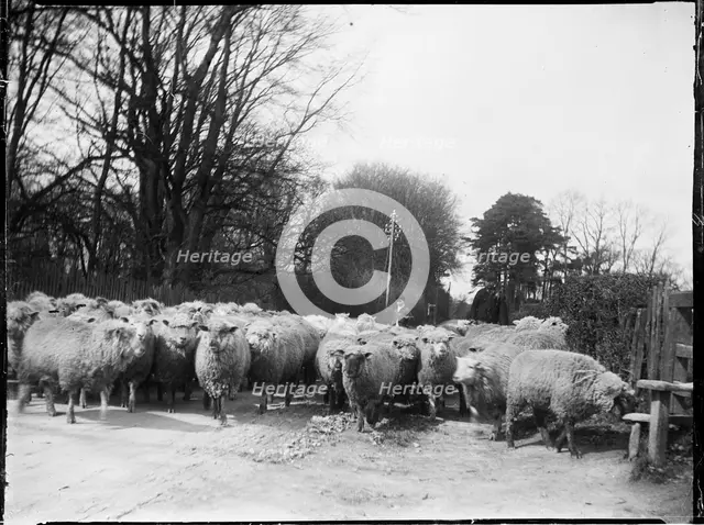 Broomfield, Broomfield and Kingswood, Maidstone, Kent, 1904. Creator: Katherine Jean Macfee.