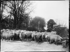 Broomfield, Broomfield and Kingswood, Maidstone, Kent, 1904. Creator: Katherine Jean Macfee
